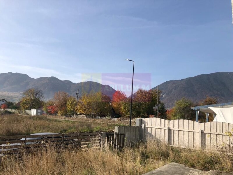 Vila la rosu Zarnesti- Mitropolit Metianu cu vedere superba spre munte